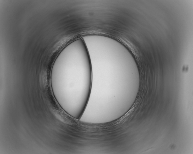 X0000096700158200802261613