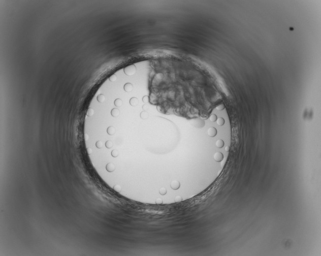 X0000096700159200802261613