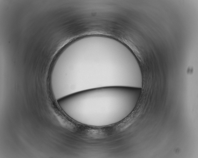X0000096700160200802261613