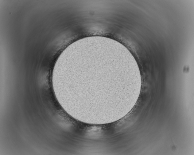 X0000096700162200802261613