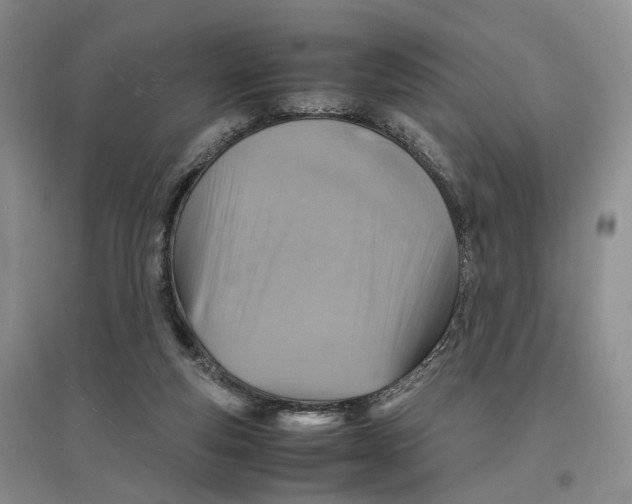 X0000096700163200802261613