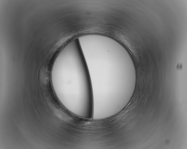 X0000096700164200802261613