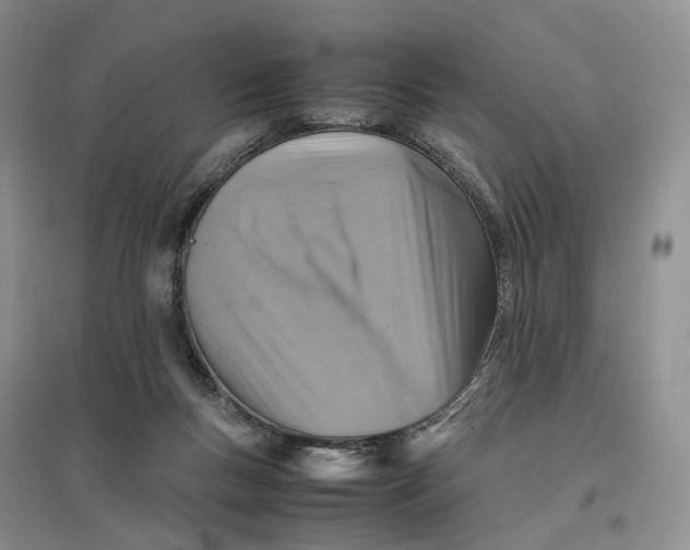 X0000096700167200802261613