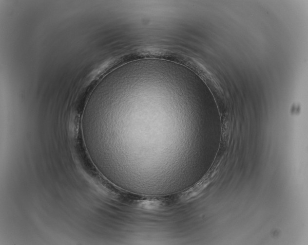 X0000096700168200802261613