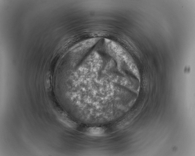 X0000096700169200802261613