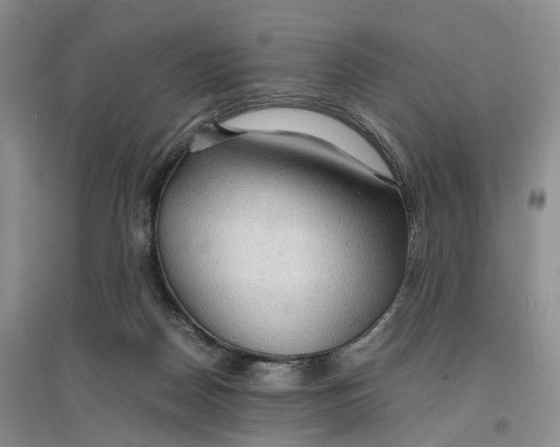 X0000096700170200802261613