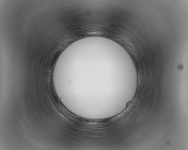 X0000096700171200802261613