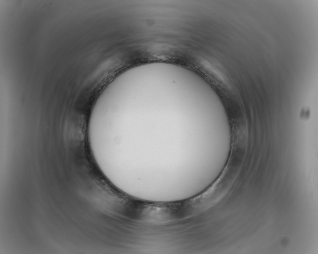 X0000096700174200802261613