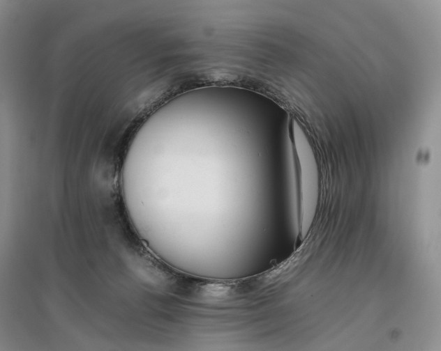 X0000096700176200802261614