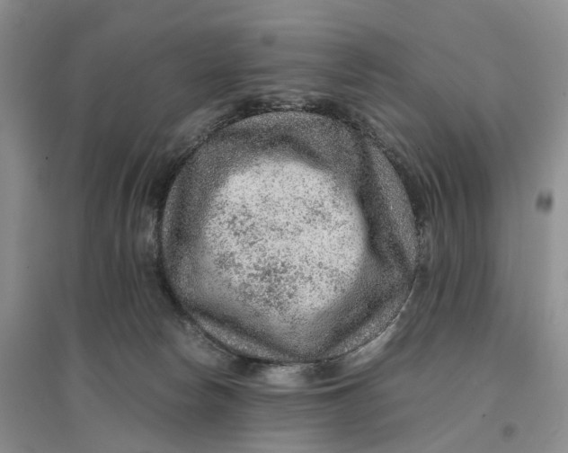 X0000096700178200802261614