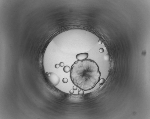 X0000096700179200802261614