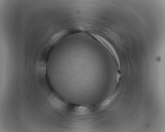 X0000096700180200802261614