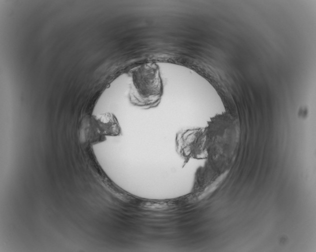 X0000096700181200802261614