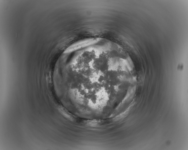 X0000096700182200802261614