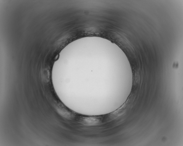 X0000096700183200802261614