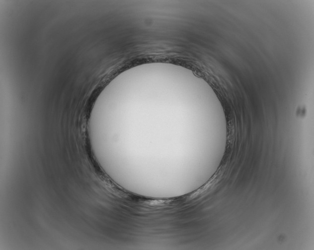 X0000096700184200802261614