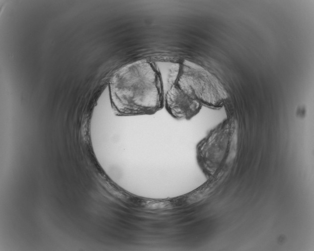 X0000096700185200802261614