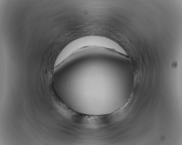 X0000096700186200802261614