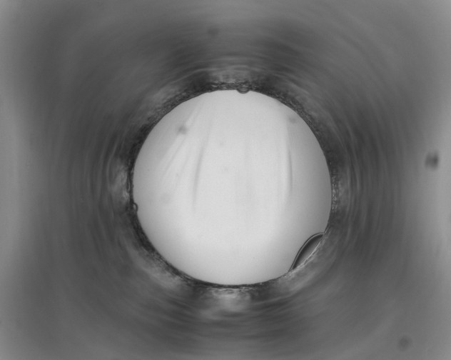 X0000096700187200802261614