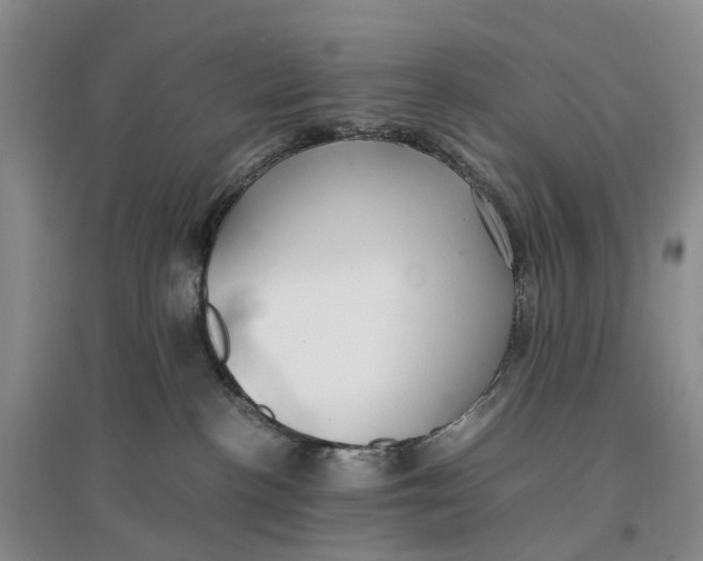 X0000096700188200802261614