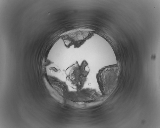 X0000096700189200802261614