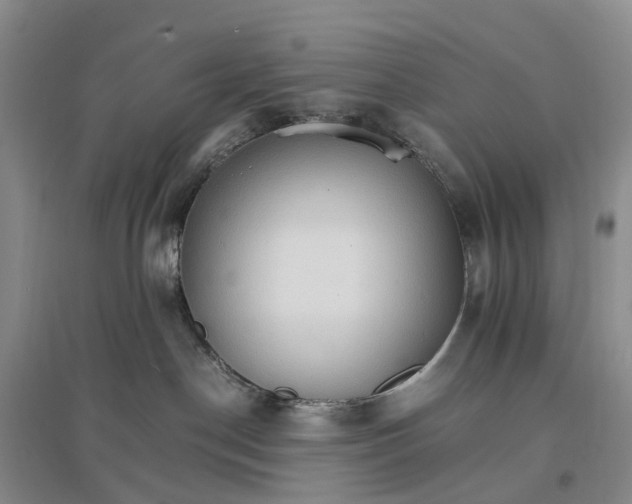 X0000096700190200802261614