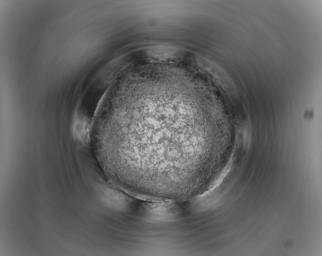 X0000096700191200802261614