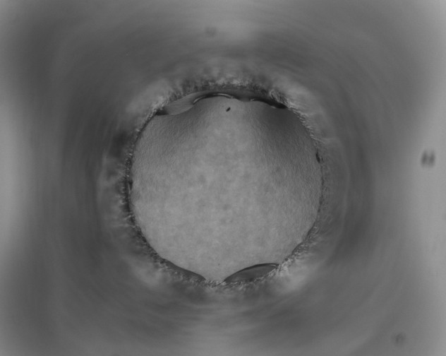 X0000096700192200802261614