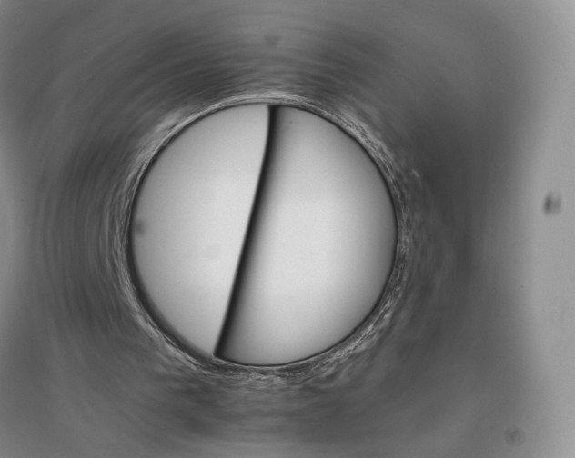 X0000096700193200802261613