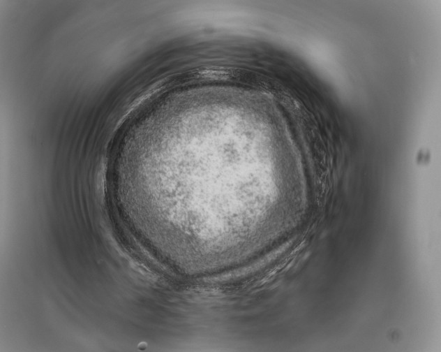 X0000096700194200802261613