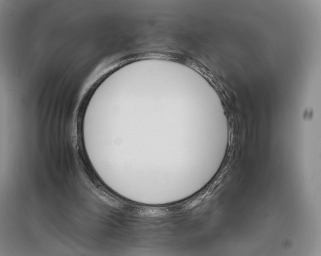 X0000096700198200802261613