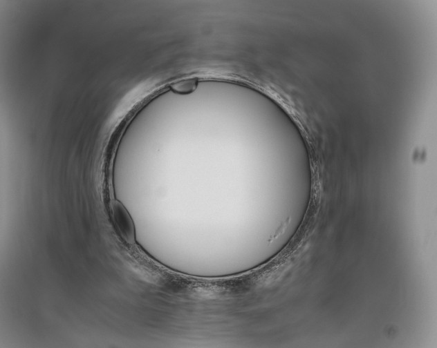 X0000096700199200802261613