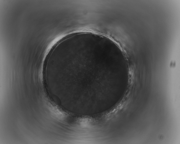 X0000096700200200802261613