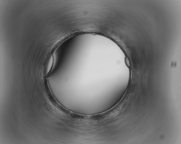 X0000096700201200802261613