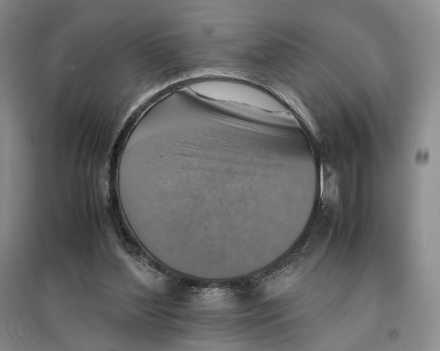 X0000096700204200802261613