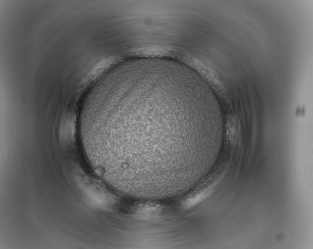 X0000096700206200802261613