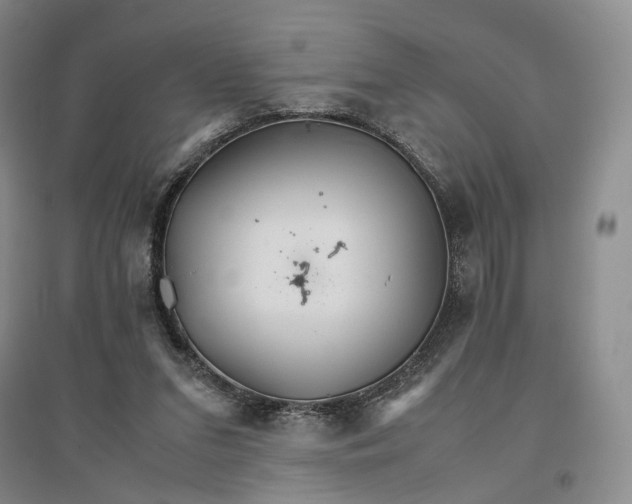 X0000096700207200802261613