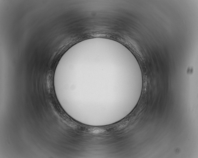 X0000096700210200802261613