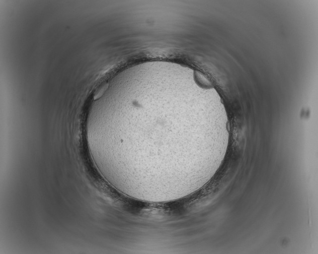 X0000096700211200802261613