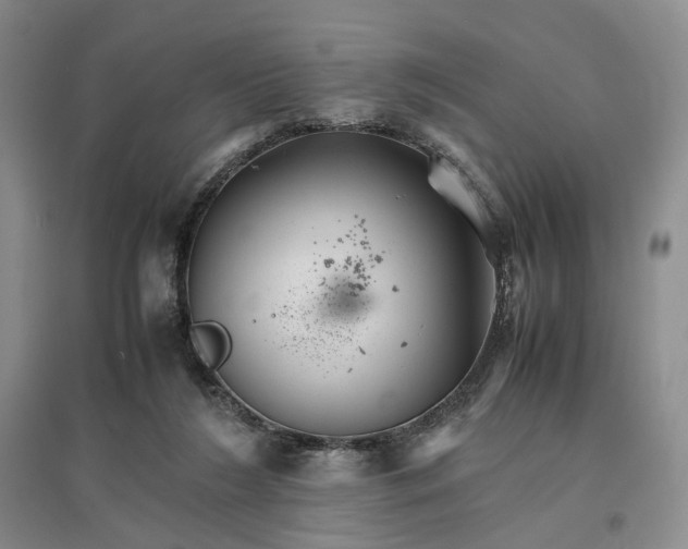 X0000096700212200802261613