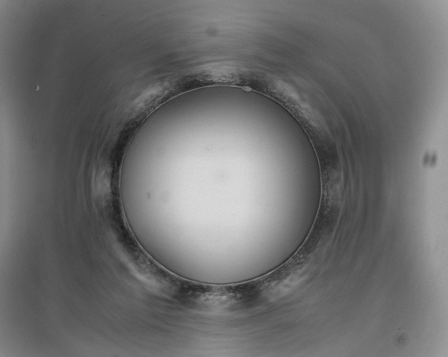 X0000096700213200802261613