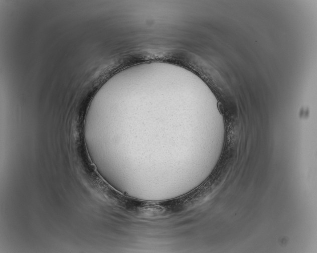 X0000096700215200802261613