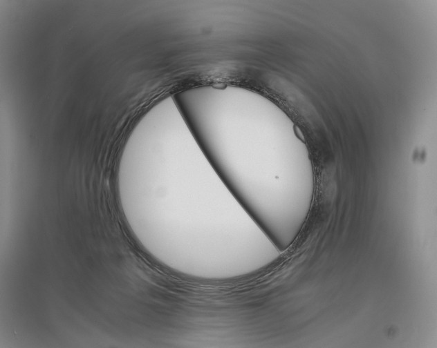 X0000096700217200802261613