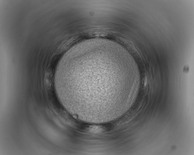 X0000096700218200802261613