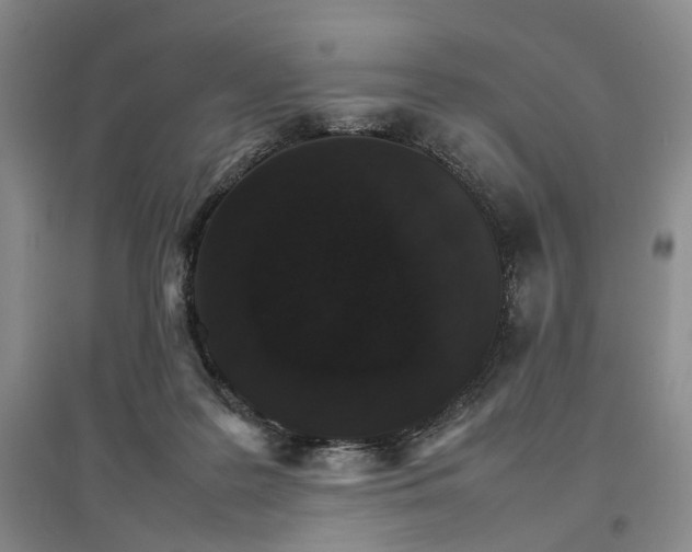 X0000096700219200802261613
