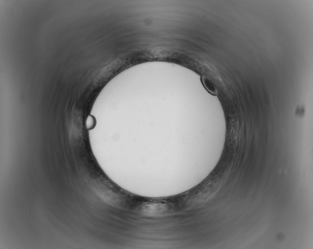 X0000096700220200802261613