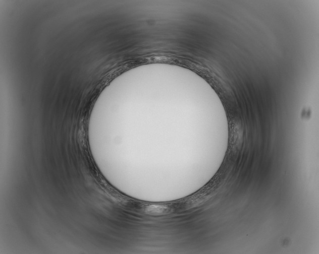 X0000096700222200802261613