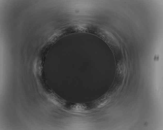 X0000096700223200802261613
