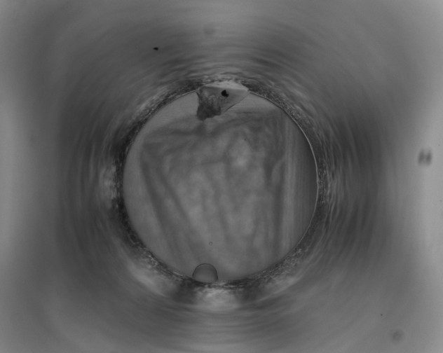 X0000096700224200802261613