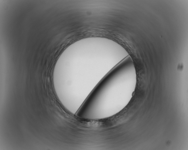 X0000096700225200802261612